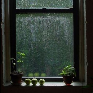 Meet your Posher, Gabriela